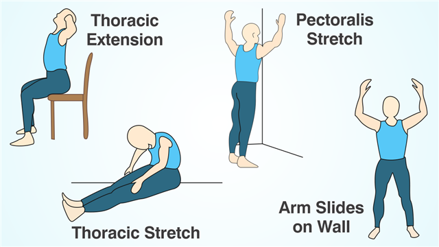 Upper Back Pain Exercises