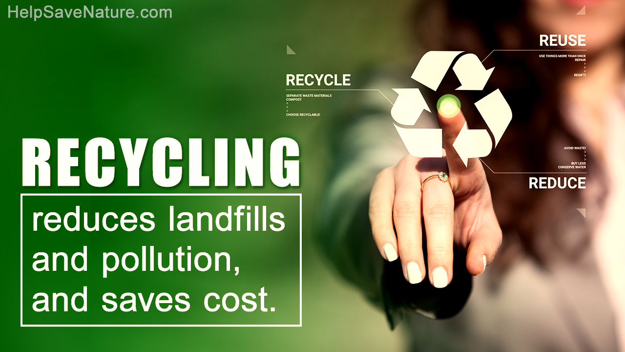 How Does Recycling Affect the Environment?