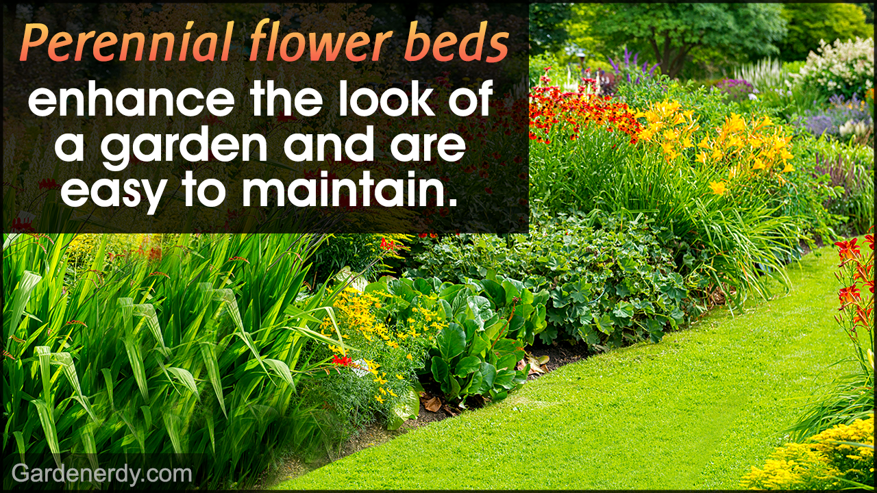 perennial flower bed designs for a garden that resembles paradise
