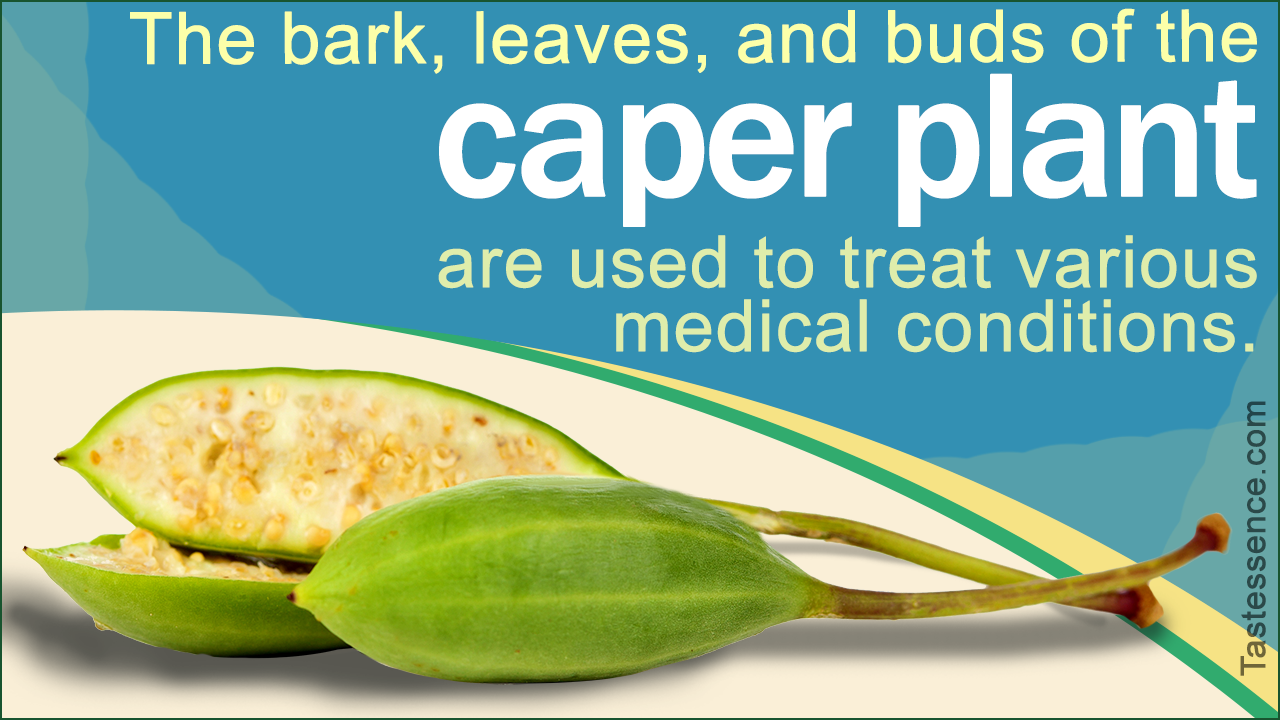 Capers Food Facts: What are Capers?