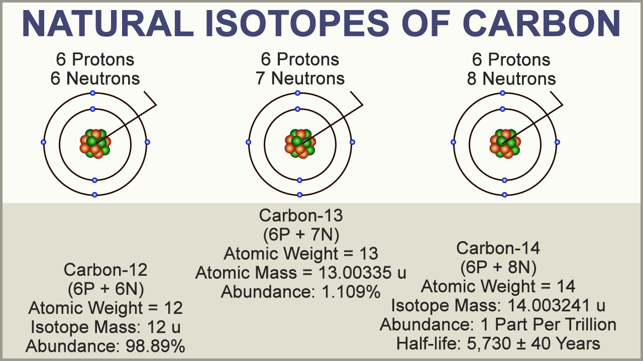 Which isotope of carbon is used in radioactive dating
