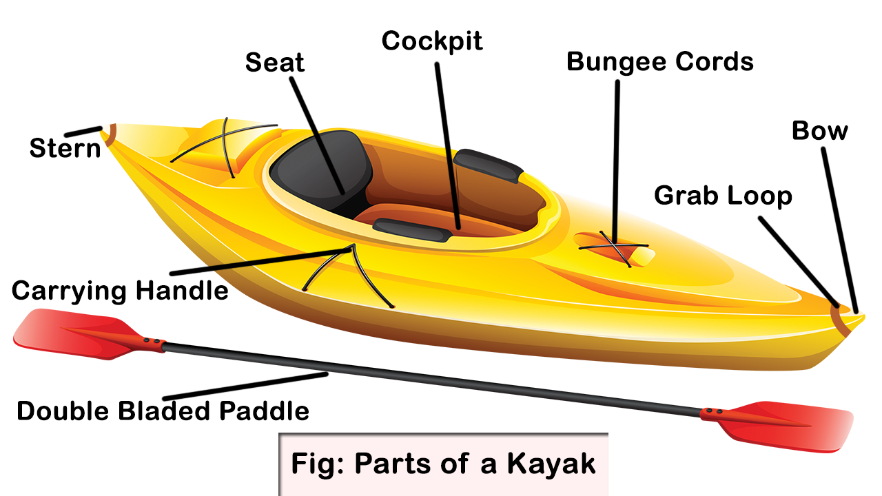 Canoe or Kayak: Which is Better for Fishing?