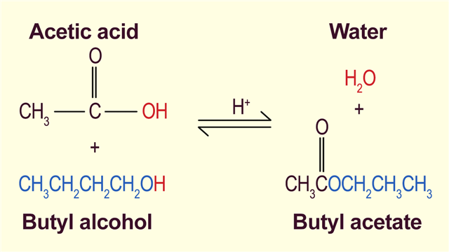 Butyl Acetate Formation