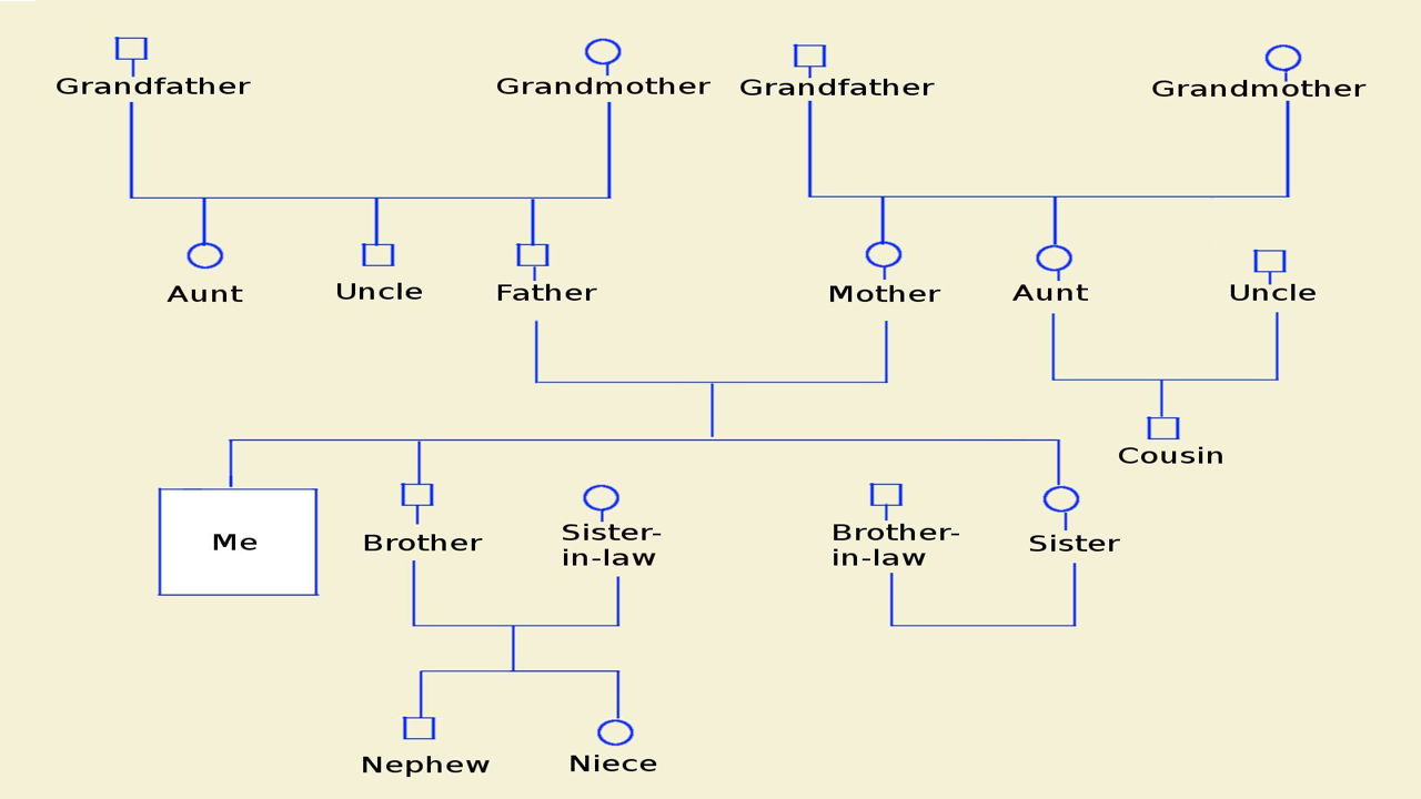 How to Make a Genogram using Microsoft Word - Tech Spirited For Genogram Template For Word