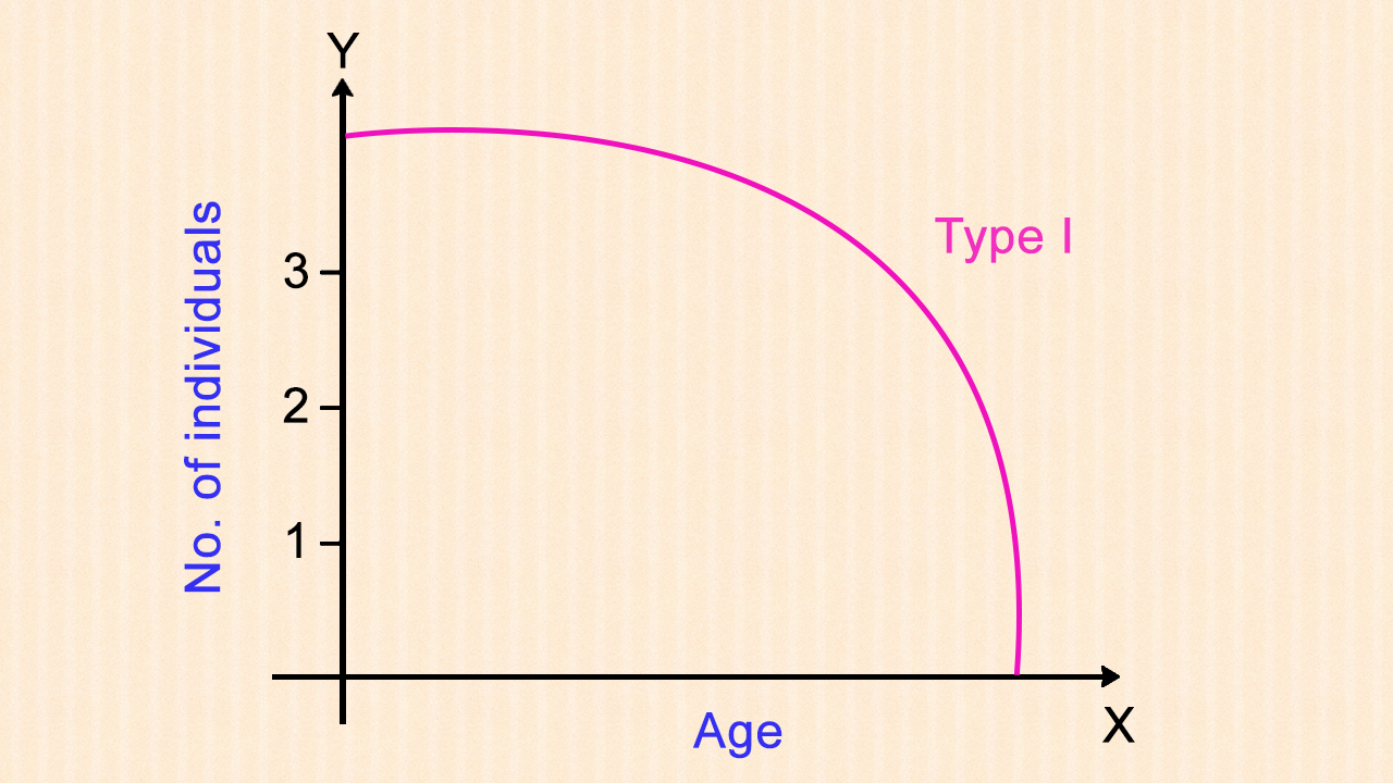 Types of Survivorship Curve with Examples - Science Struck