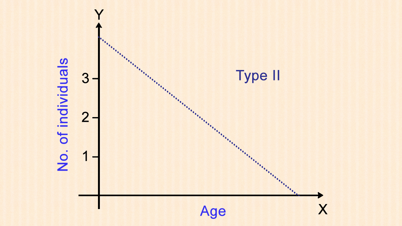 type 3 survivorship curve