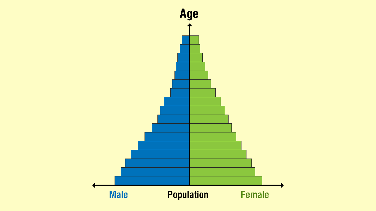 [10000ダウンロード済み√] Low Life Expectancy Population Pyramid 905963 Life
