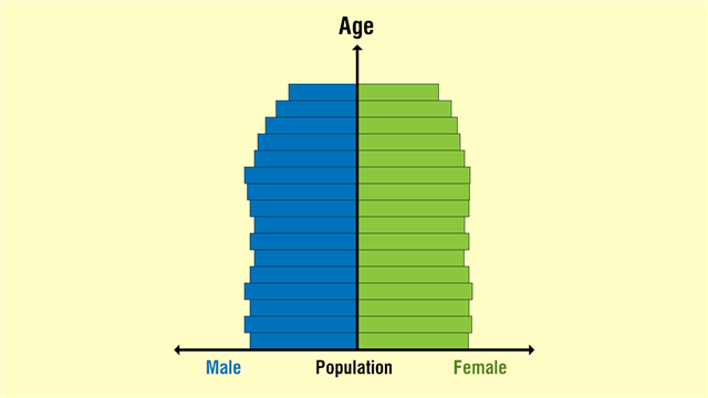 Stable Population Pyramid
