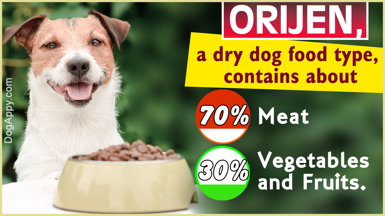 Dry Dog Food Ratings