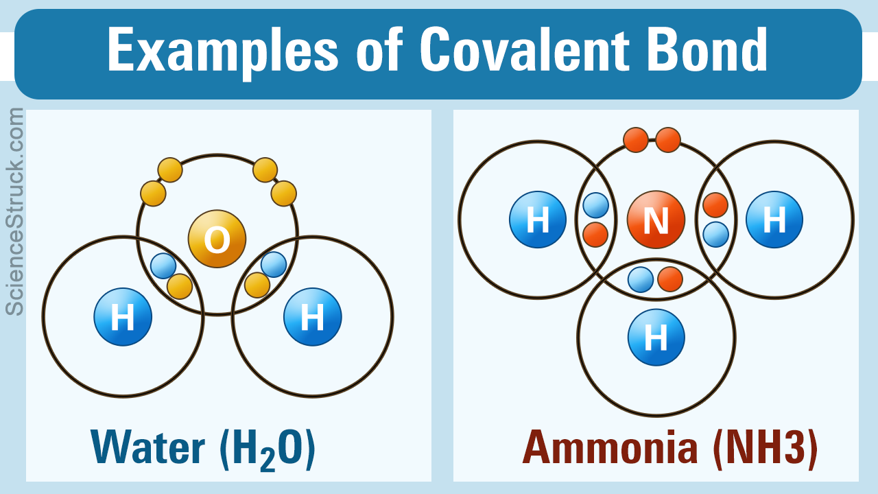 Covalent Bond Examples