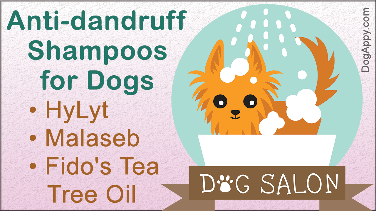 Top 10 Anti-dandruff Shampoos for Dogs