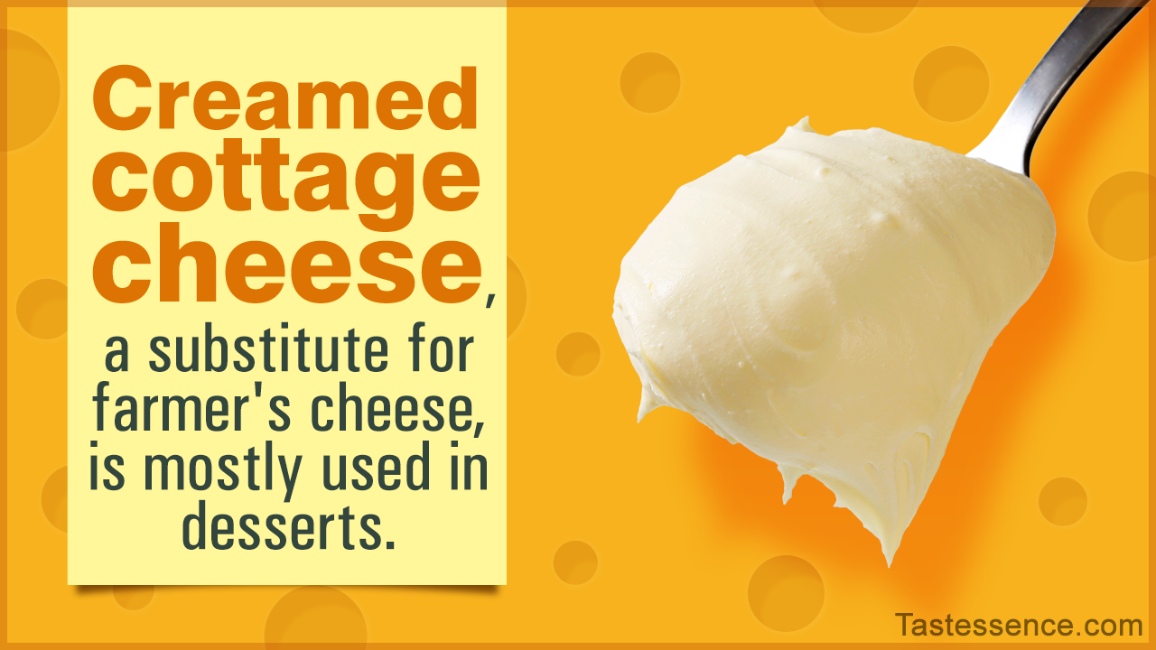 9 Farmer's Cheese Substitutes