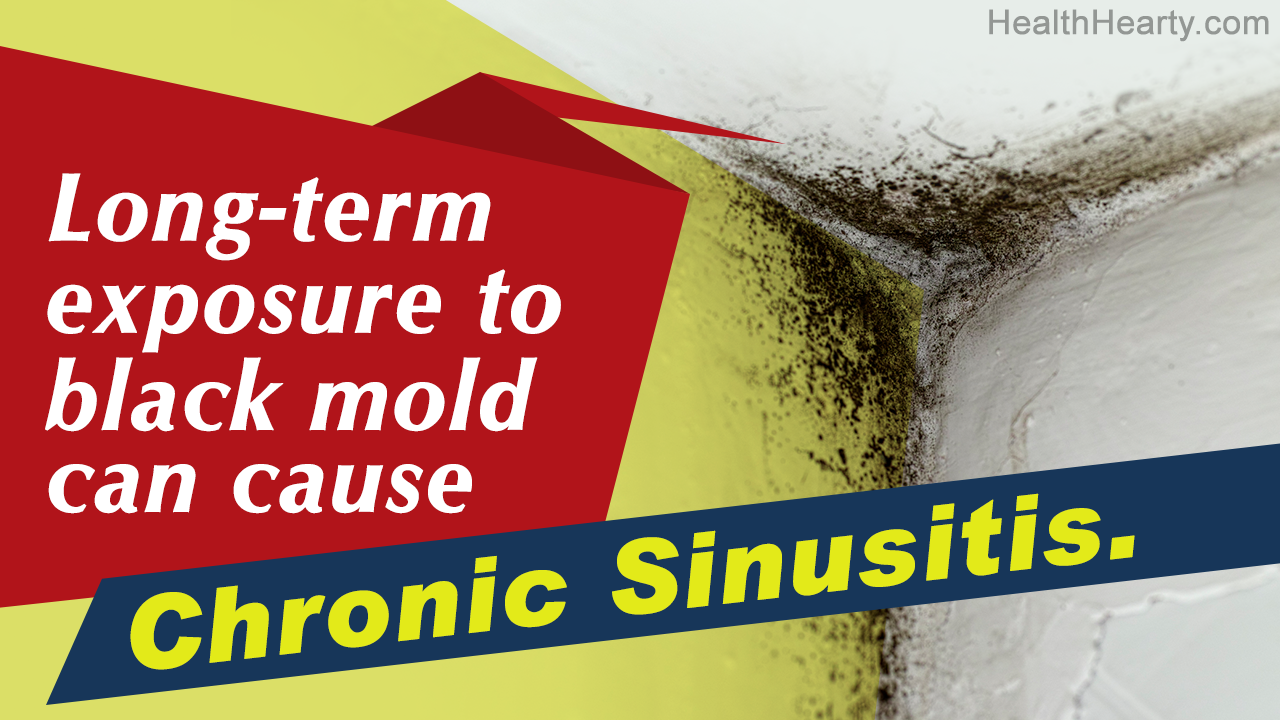 Toxic Black Mold Exposure Symptoms in Humans