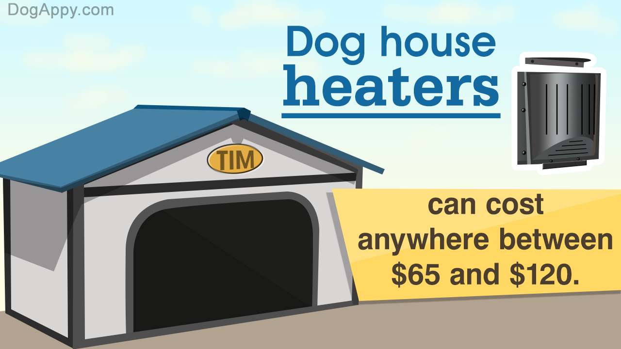 Dog House Heater