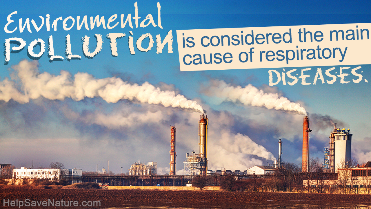 Causes and Effects of Environmental Pollution