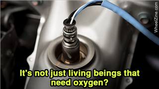 Oxygen Sensor On New Modern Ca