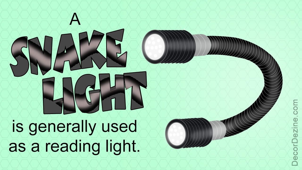 Things to Consider before Buying a Snake Light