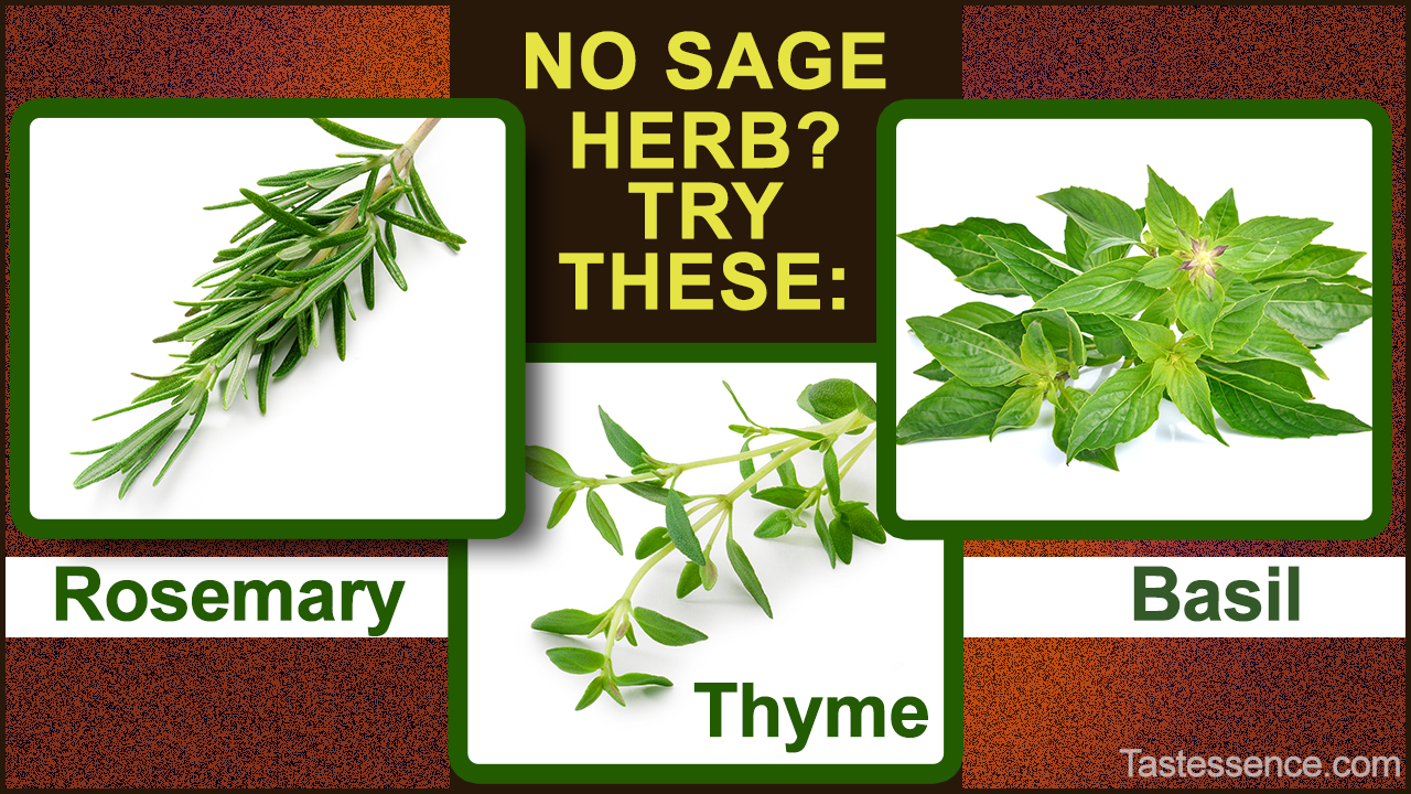 5 Substitutes for Sage Herb