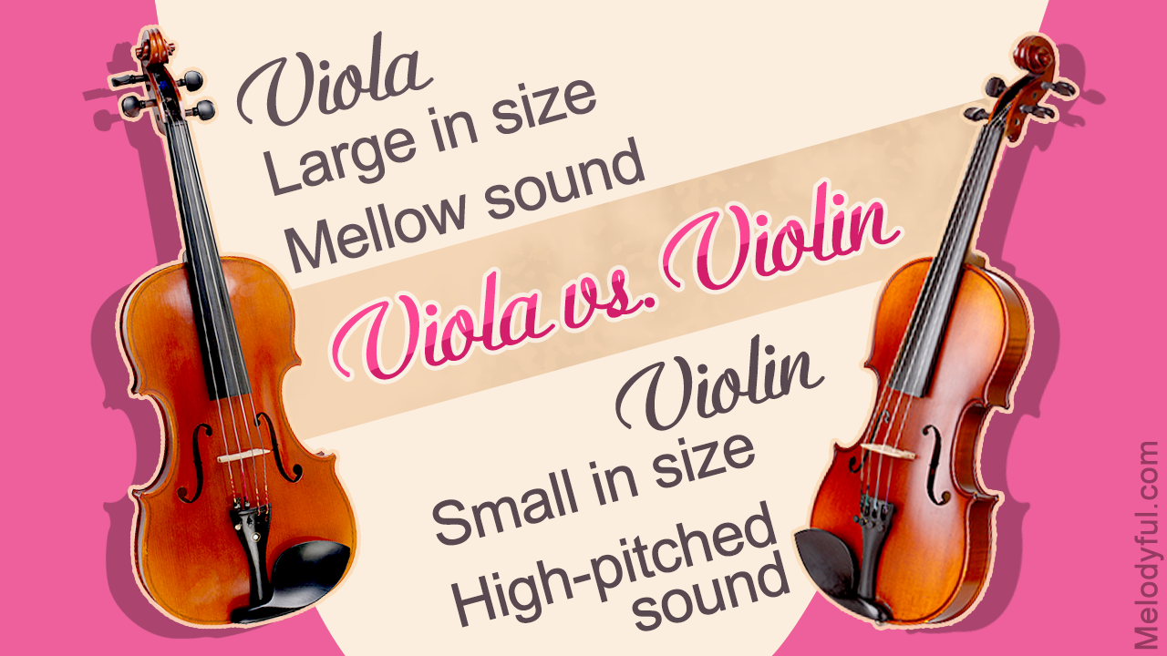 How to Tell the Difference Between Viola and Violin