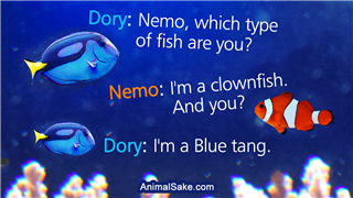 Dory and Nemo meme