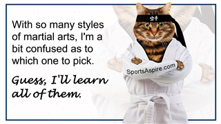 Pick a martial arts style