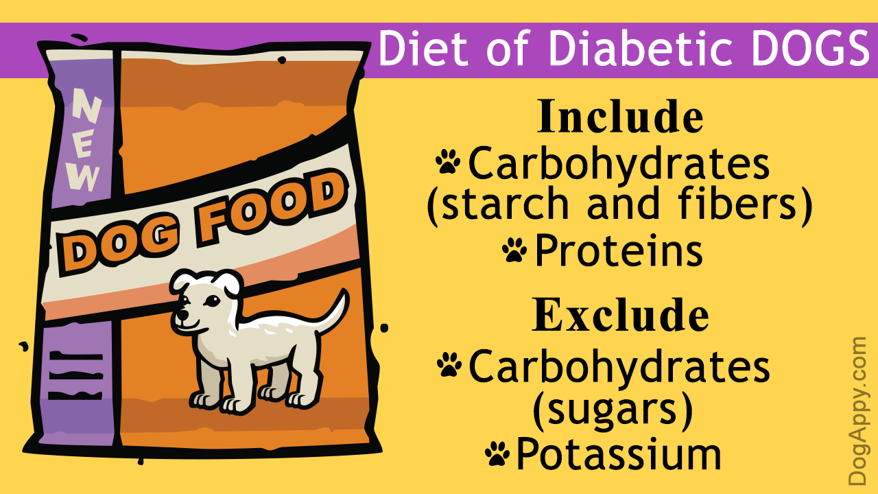 Best Diabetic Dog Food