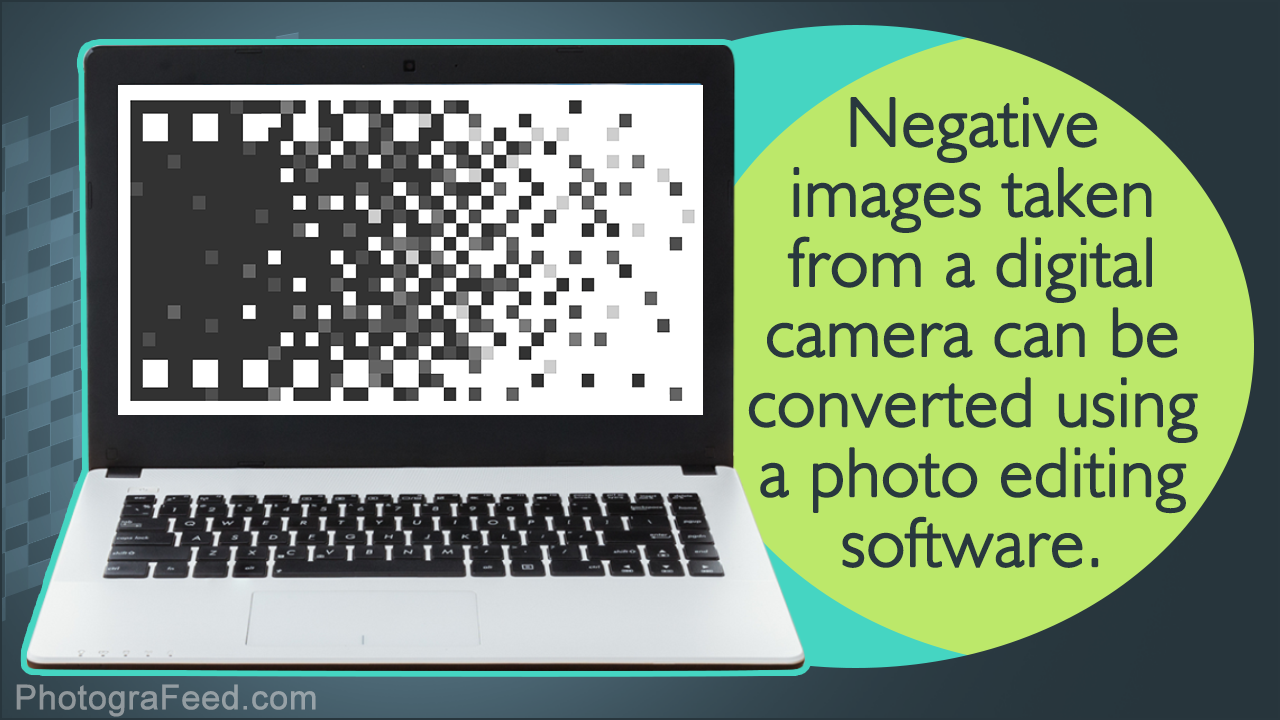 How to Convert a Photo Negative to a Digital Image
