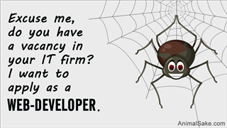 Funny Spider Cartoon For You Design