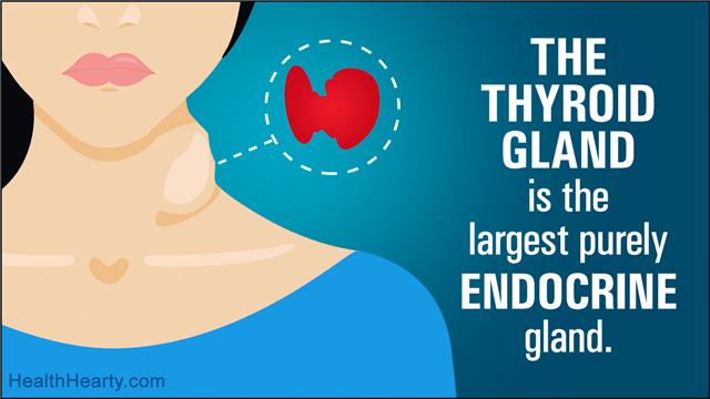 Woman With Hyper Thyroid