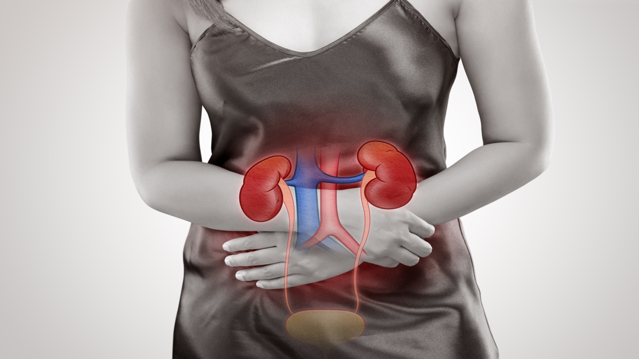 Kidney Pain: Symptoms and Treatment