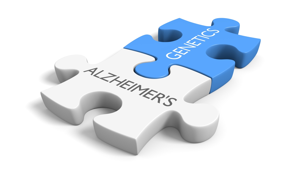 Do You Know How to Prevent Alzheimer?