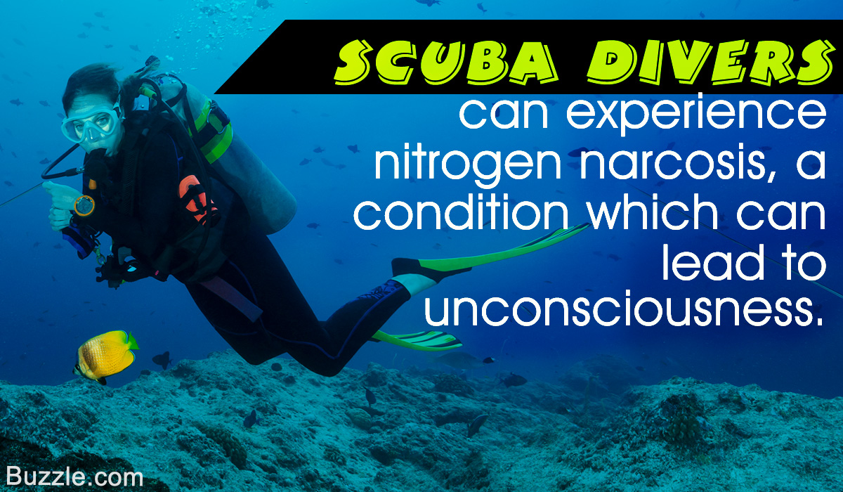 Facts about Scuba Diving