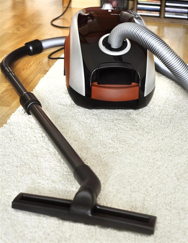 Vacuuming Carpet