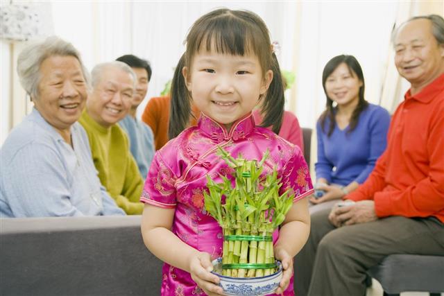 Asian girl holding a pot of lucky bamboo