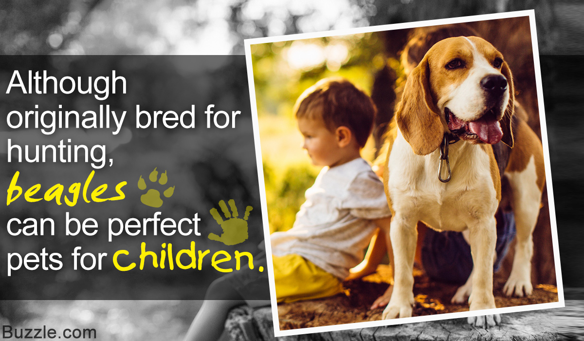 Best Dog Breeds that are Good with Kids