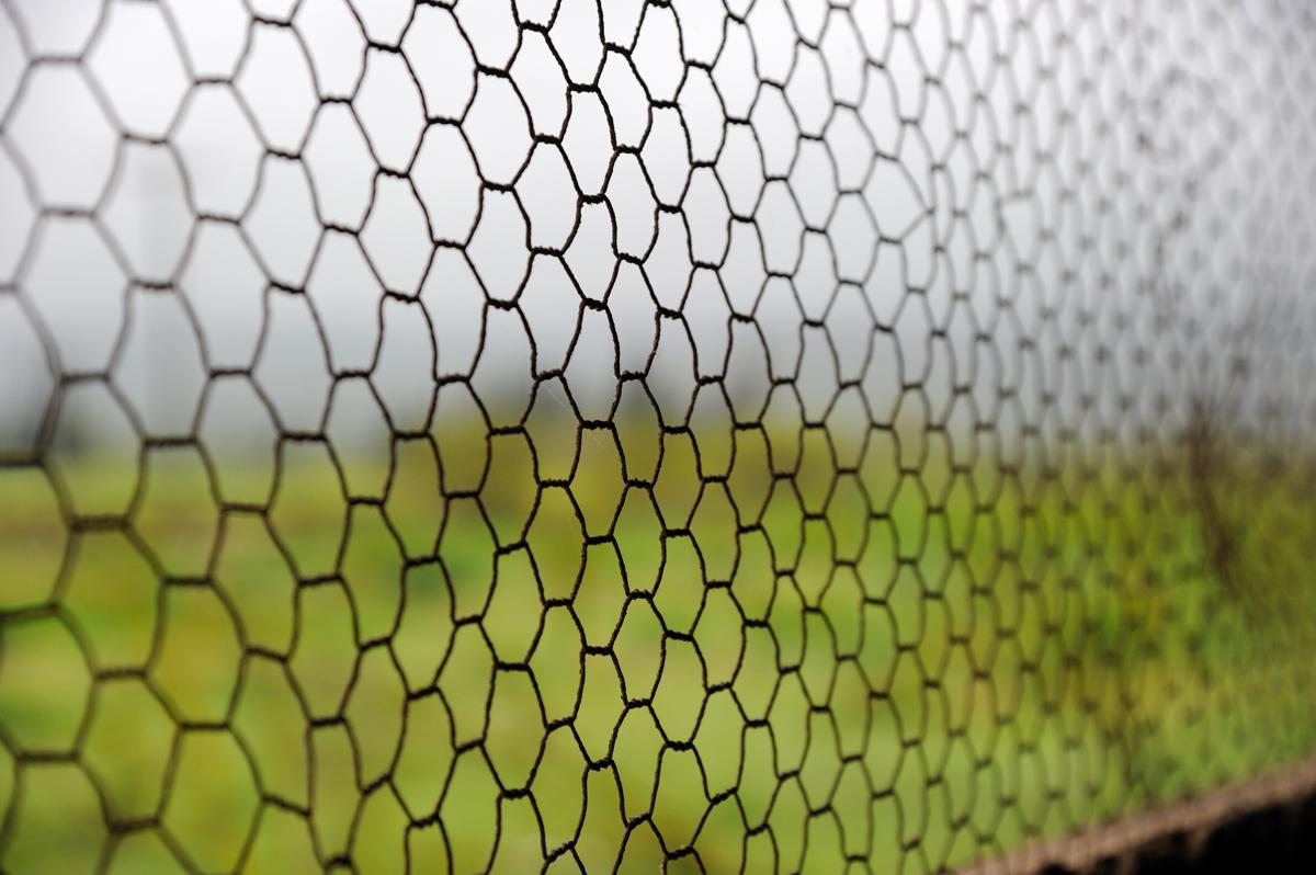 Tips on How to Install a Chicken Wire Fence to Protect Your Garden