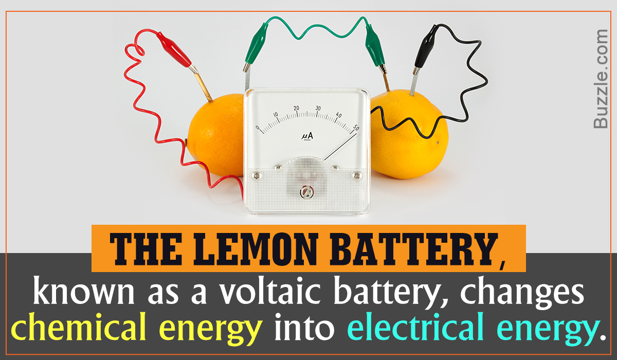Lemon Battery Experiment