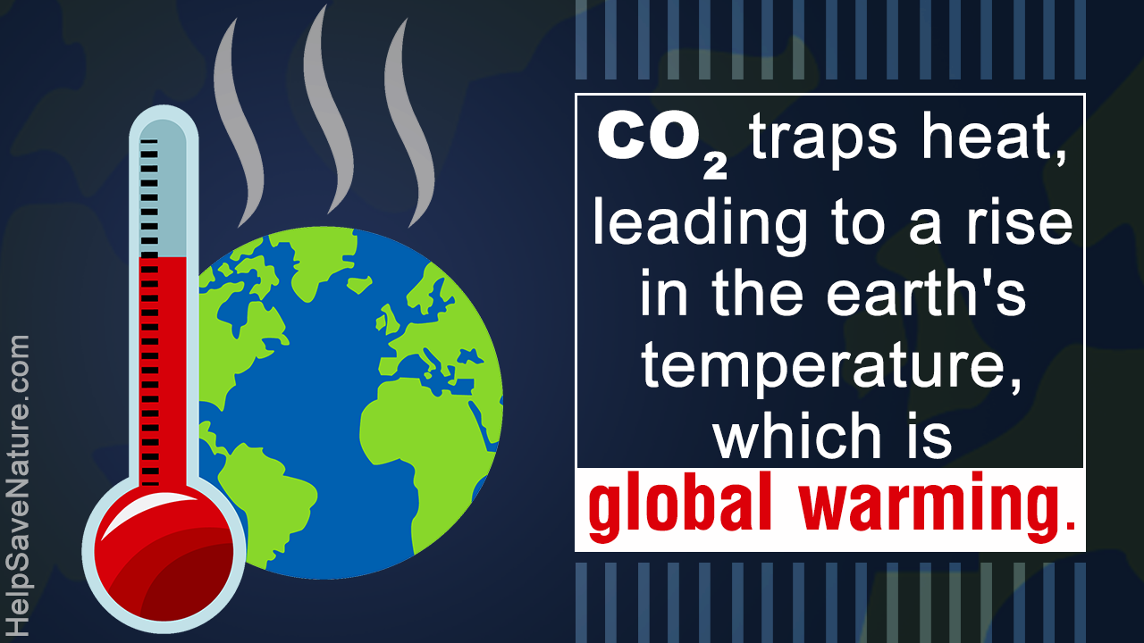 Global Warming and Carbon Dioxide (CO2)