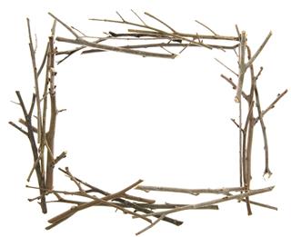 Twigs and Sticks Frame