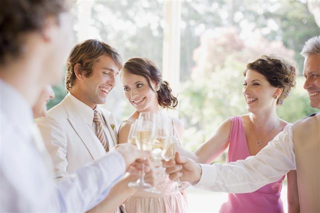 Guests toasting at reception