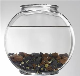 Fishbowl with natural stones