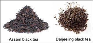 Indian Black Tea