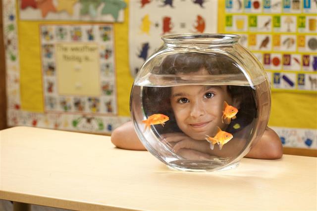 Child looking through a fish bowl