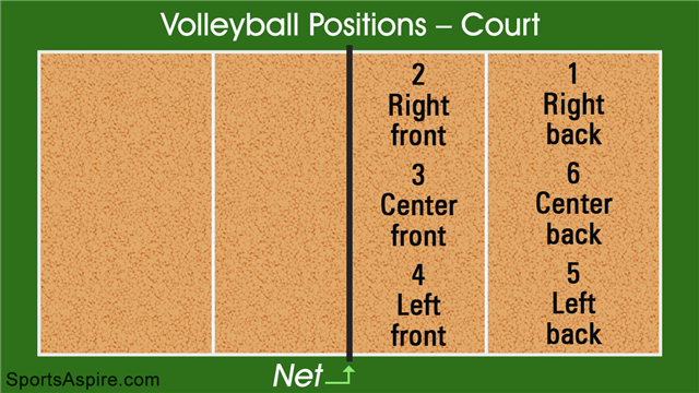 Volleyball positions court