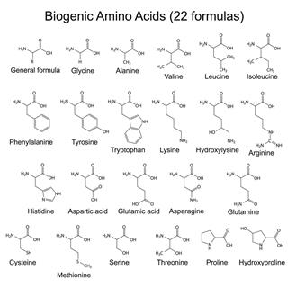 Biogenic amino acids