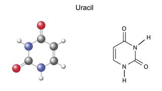 Chemical structural formula and model of uracil