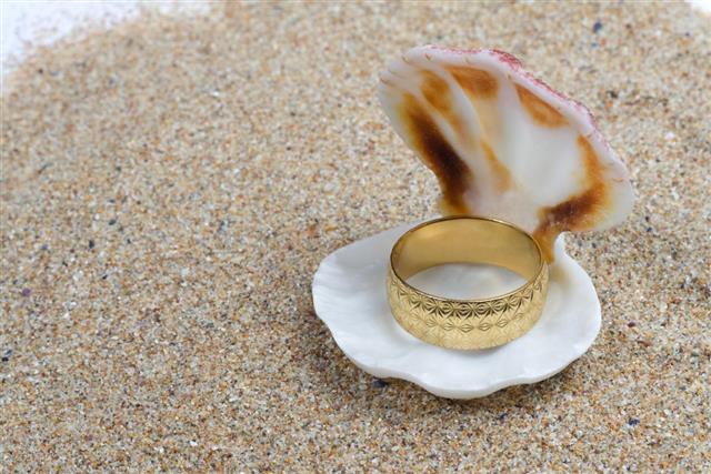 Ring in an oyster shell