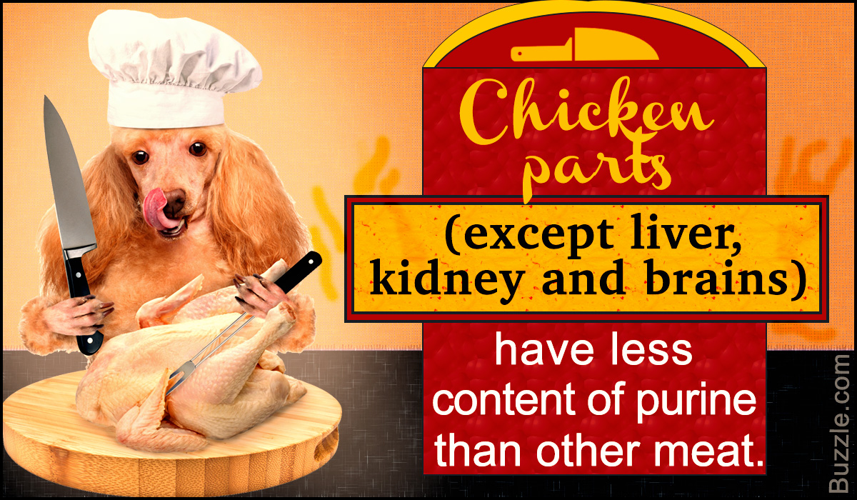 Low Purine Foods For Dogs Every Pet Parent Should Know About Pet