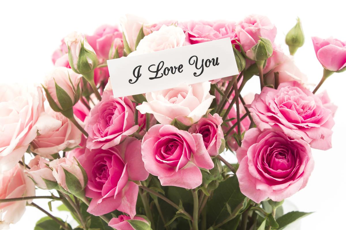 Cute Messages to Send with Flowers - Social Mettle