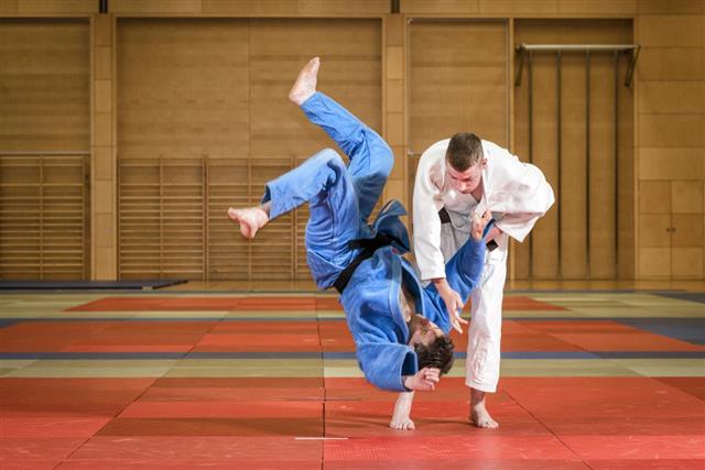 Judo fight
